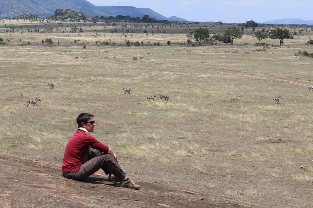 el serengueti en safari en tanzania el serengueti en un safari en tanzania