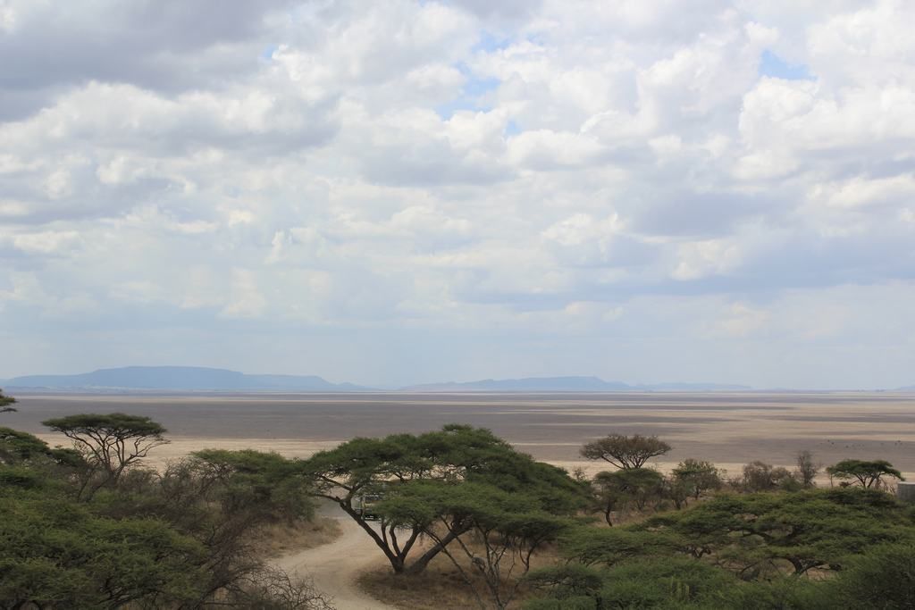 el serengueti en safari en tanzania el serengueti en un safari en tanzania