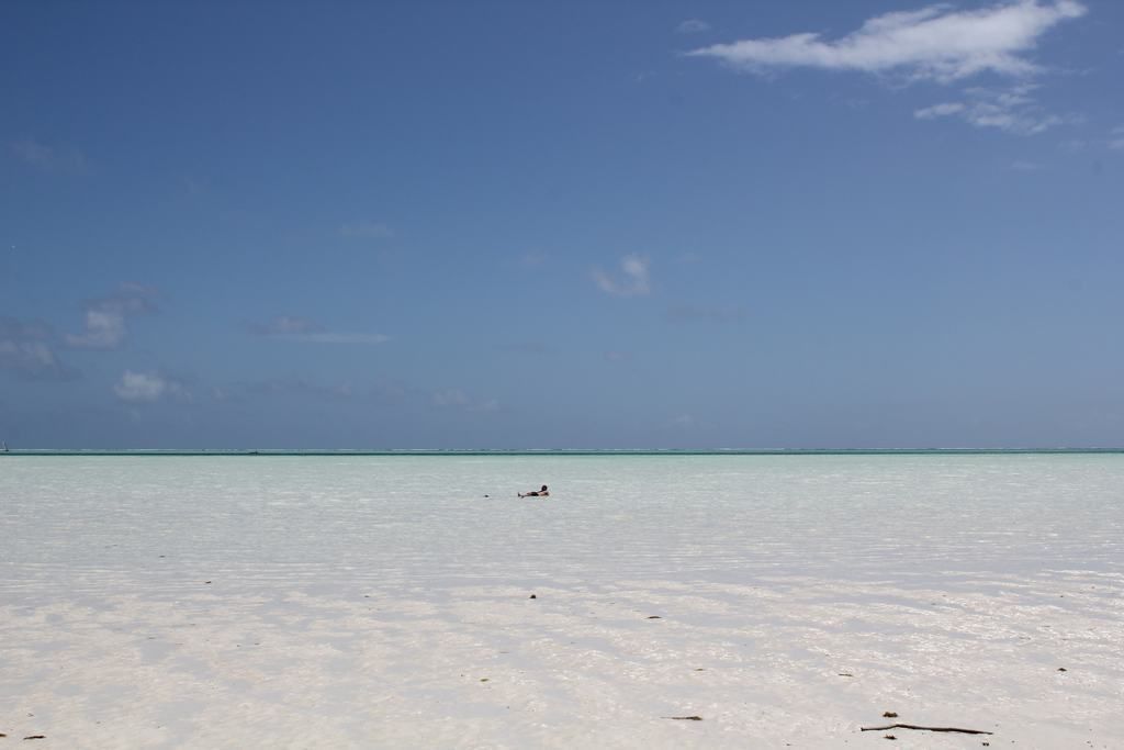 playas de zanzibar en tanzania playas de zanzibar en tanzania