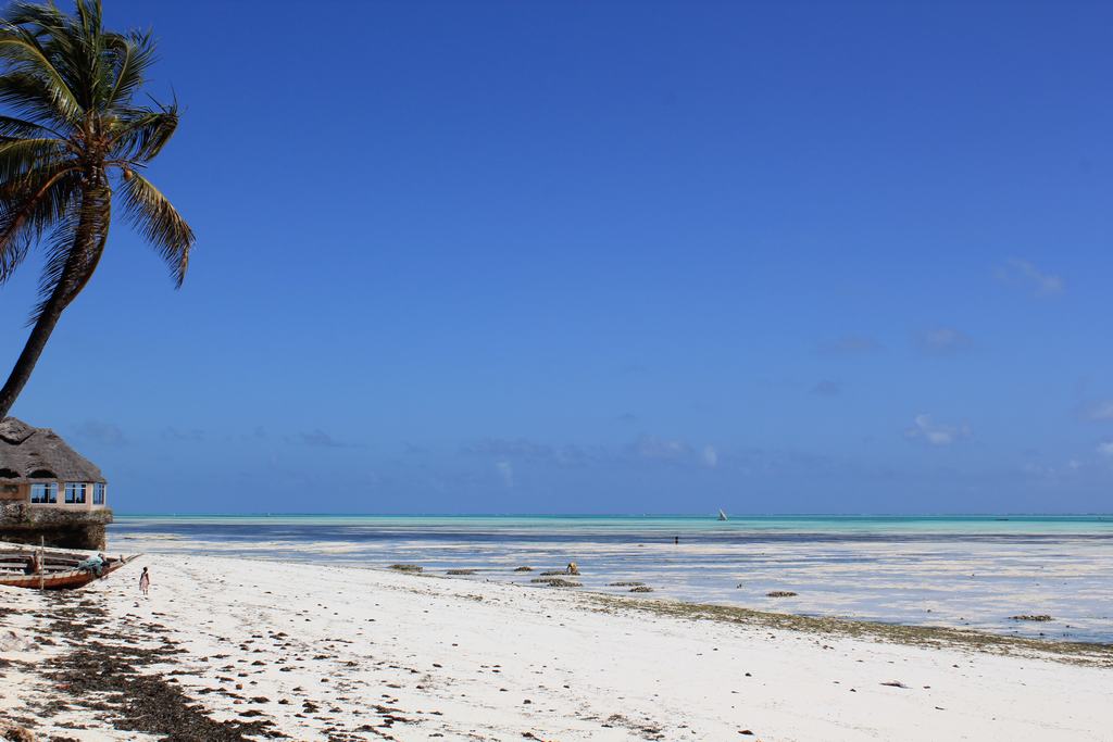 playas de zanzibar en tanzania playas de zanzibar en tanzania