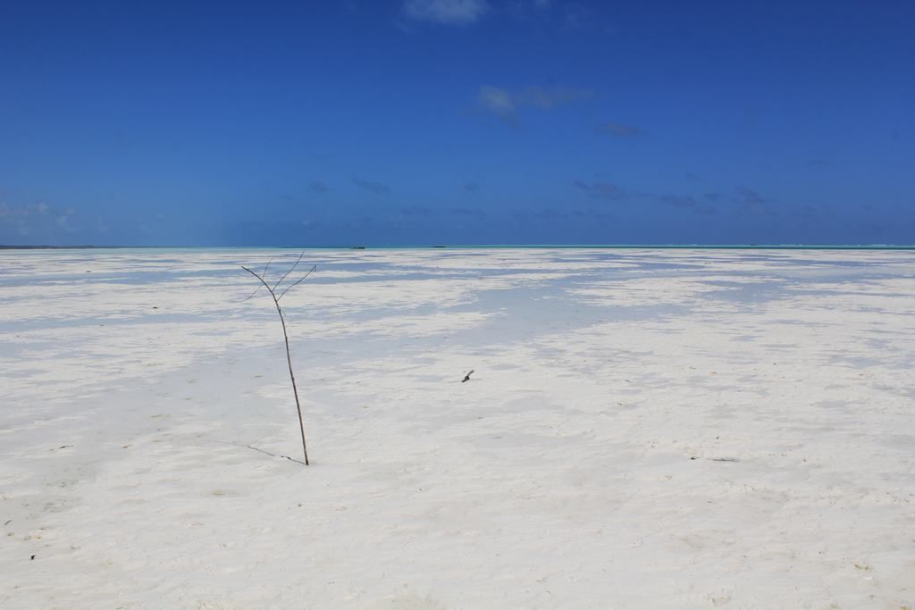 playas de zanzibar en tanzania playas de zanzibar en tanzania