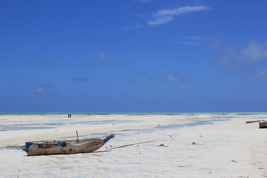 playas de zanzibar en tanzania playas de zanzibar en tanzania