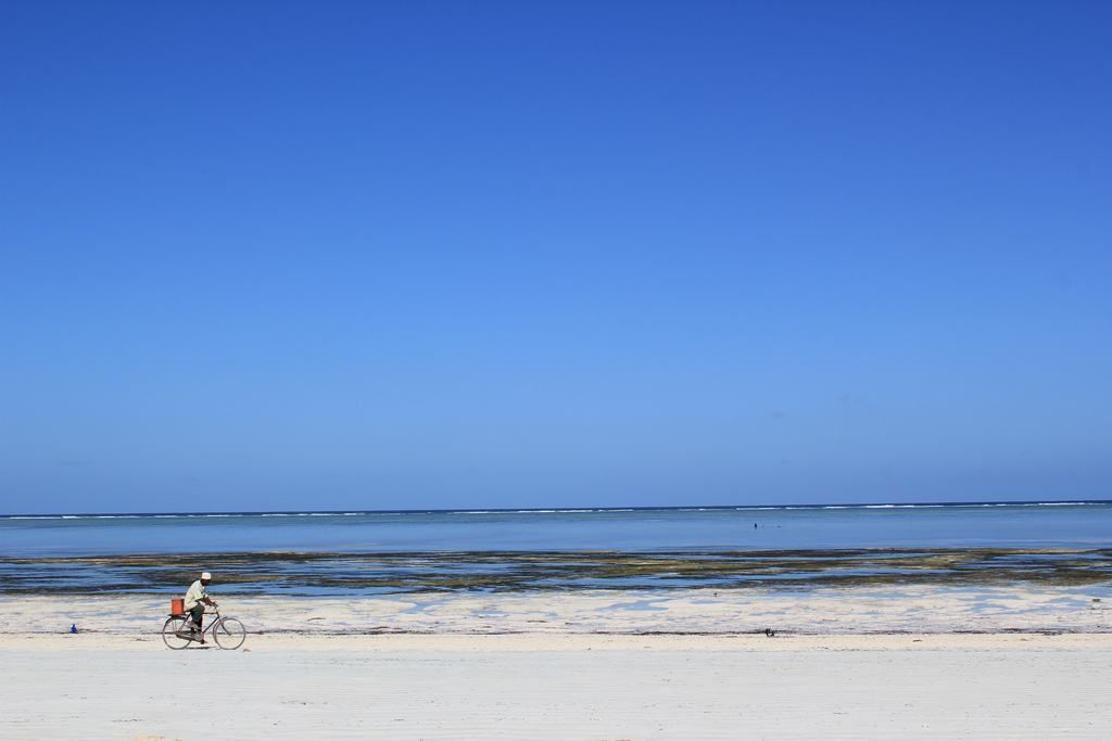 playas de zanzibar en tanzania playas de zanzibar en tanzania