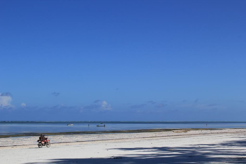 playas de zanzibar en tanzania playas de zanzibar en tanzania