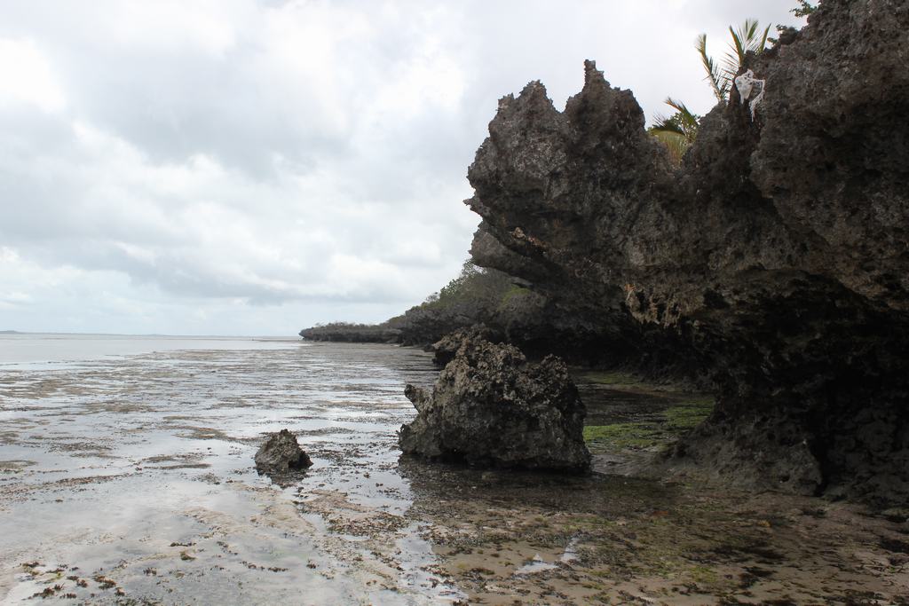 isla de zanzibar en tanzania
