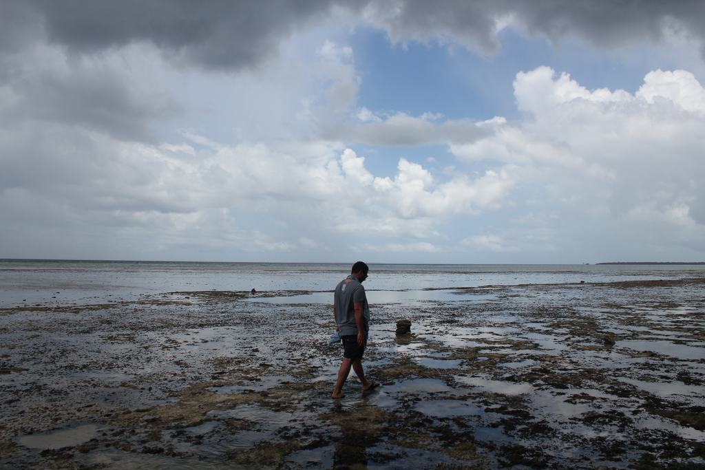 isla de zanzibar en tanzania