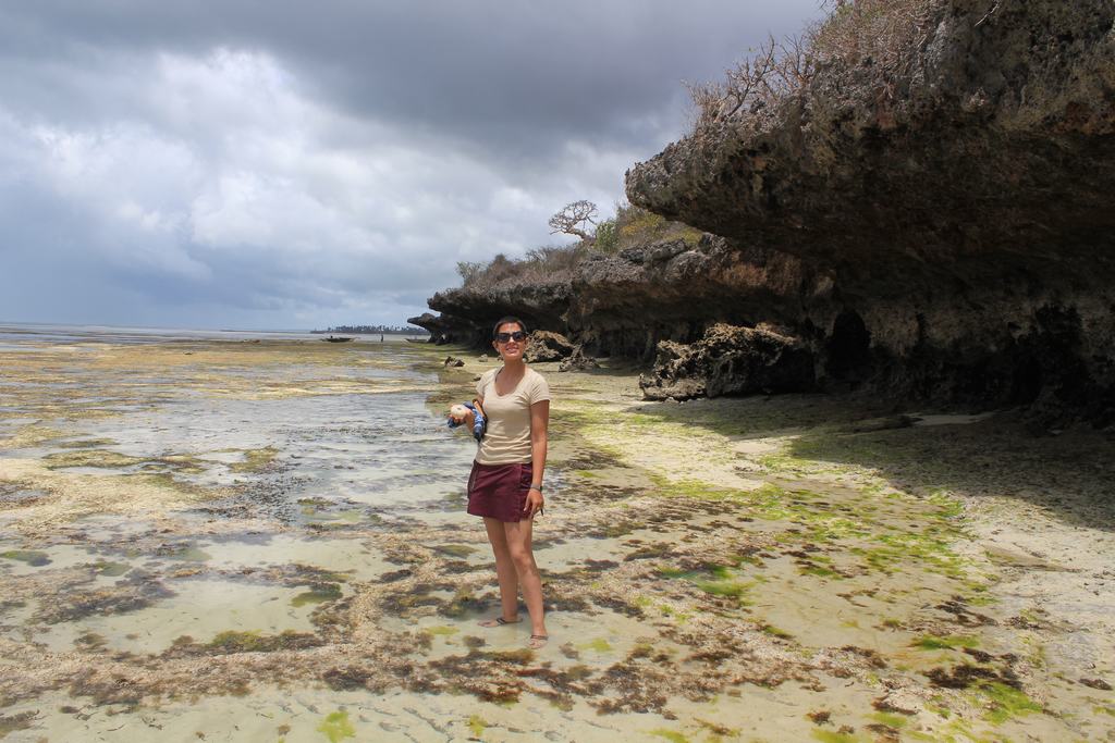 isla de zanzibar en tanzania
