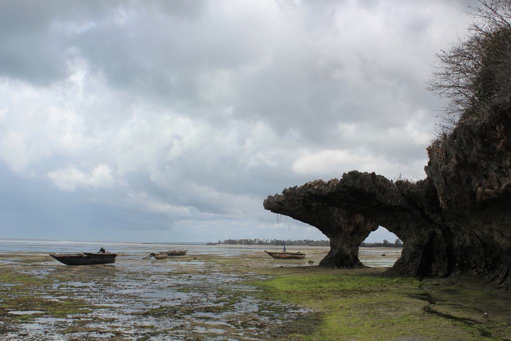 isla de zanzibar en tanzania