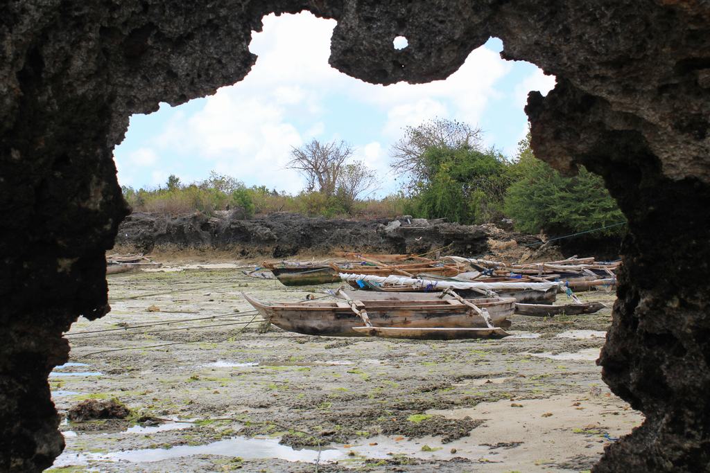 isla de zanzibar en tanzania