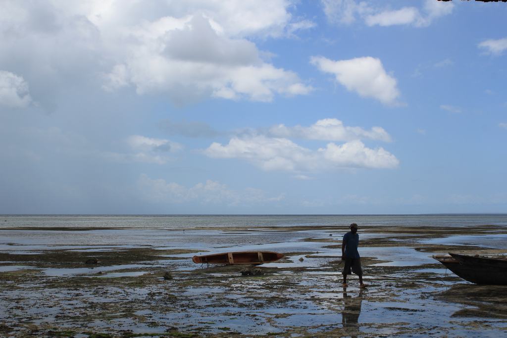 isla de zanzibar en tanzania