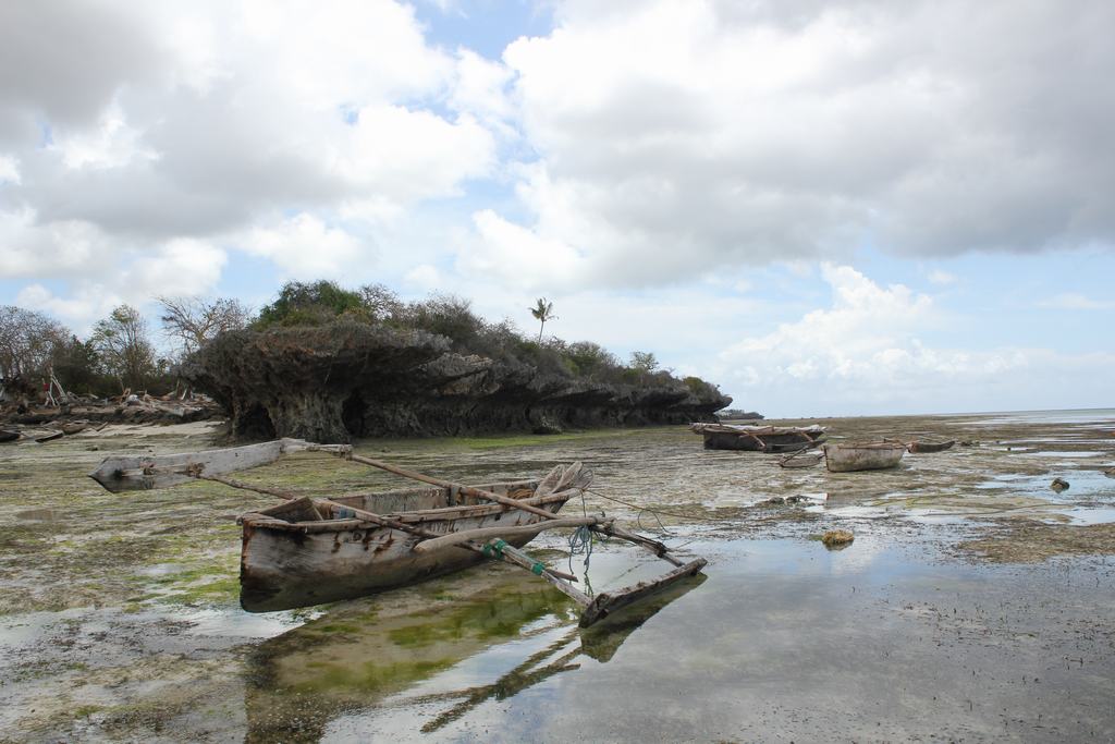isla de zanzibar en tanzania