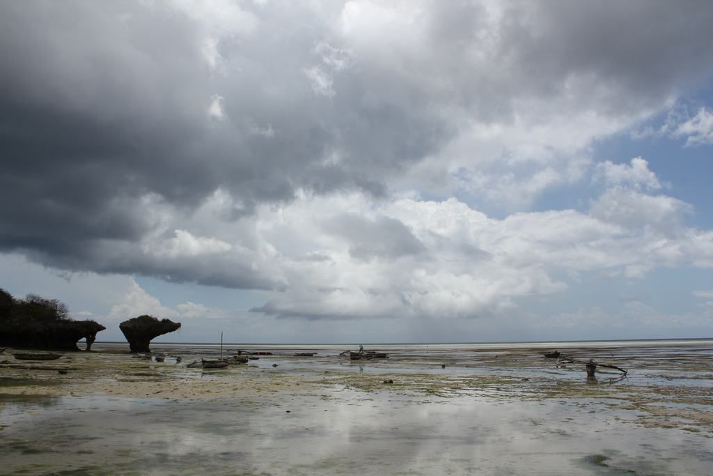 isla de zanzibar en tanzania