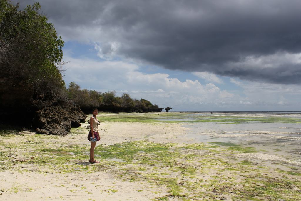 isla de zanzibar en tanzania