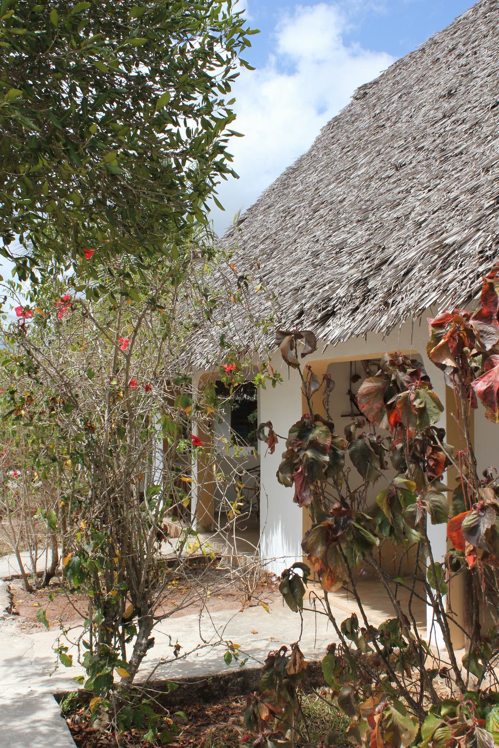 zanzibar en tanzania zanzibar en tanzania