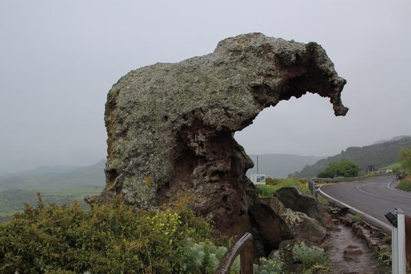 rocca del elefante en un viaje a cerdeña