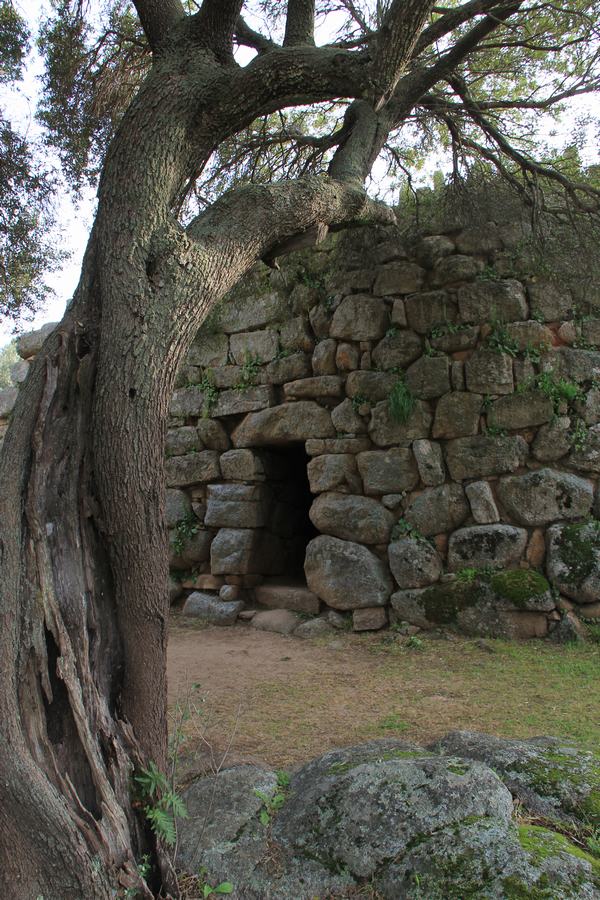 nurague en un viaje a cerdeña nurague en un viaje a cerdeña