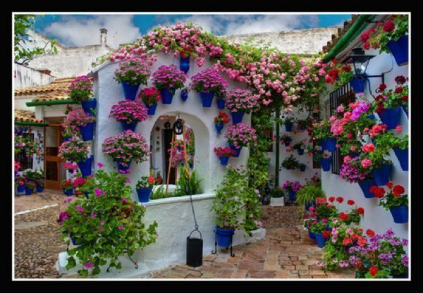 patios de cordoba patios de cordoba