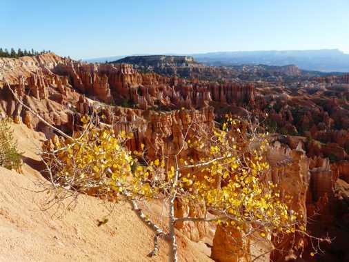 yellowstone mammoth oeste eeuu arches teton colorado canyonlands antelope monument valley bryce zion gran canyon sequoia death valley yosemite big sur