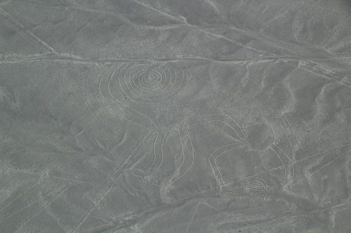 La figura del mono