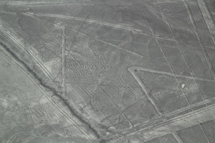 La araña en las Líneas de Nazca