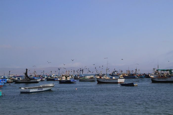 Vistas del mar de Paracas