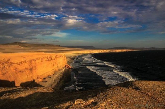Reserva Nacional de Paracas