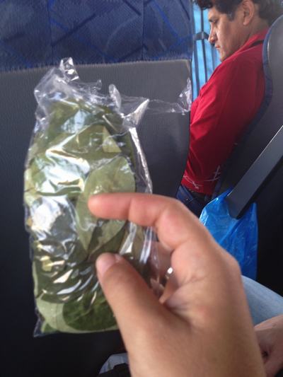 Y también hojas de coca para ir mascando en el camino