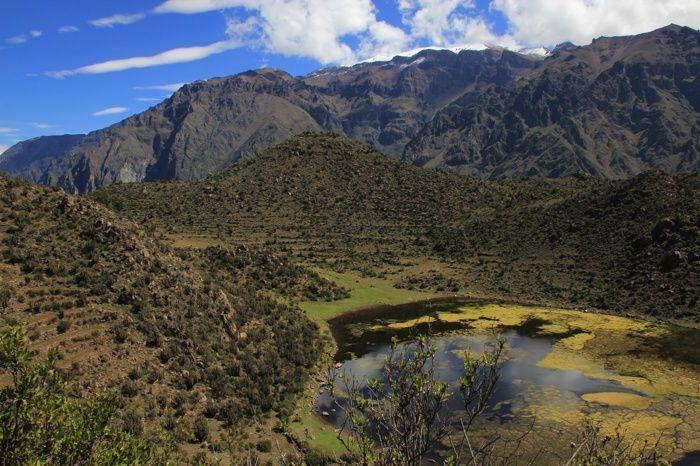Vistas del volcan extinto camino de Chivay