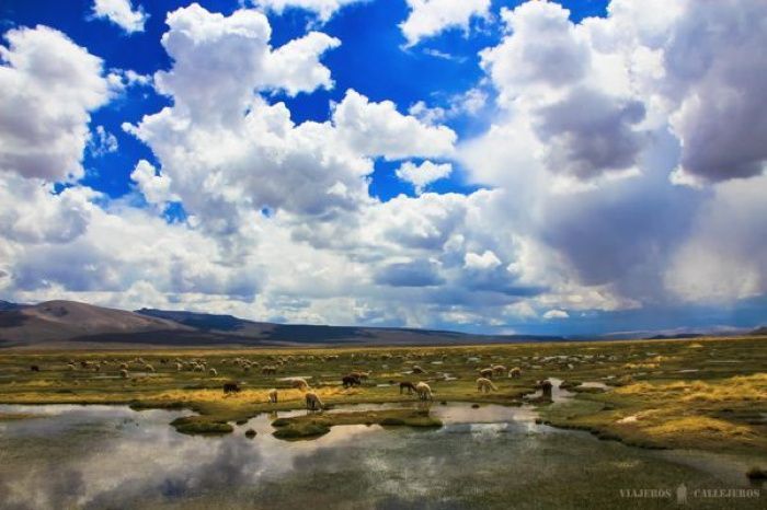 Reserva Salinas