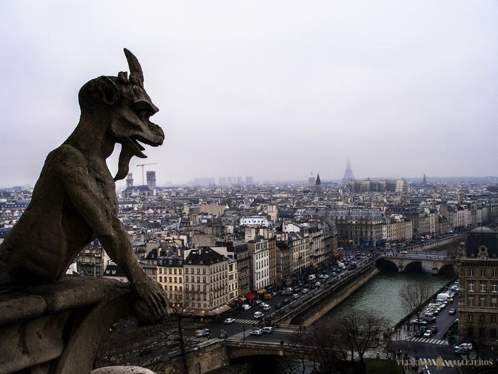 Vistas de París desde Notre Dame