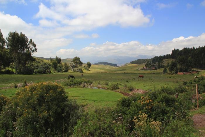 Paisajes camino a Qenqo