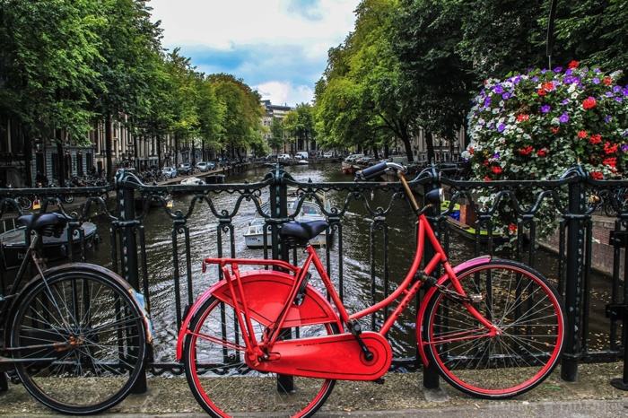 Free tour en Ámsterdam