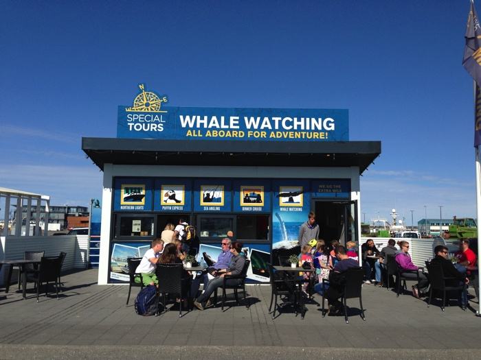 Special Tours en Reikiavik