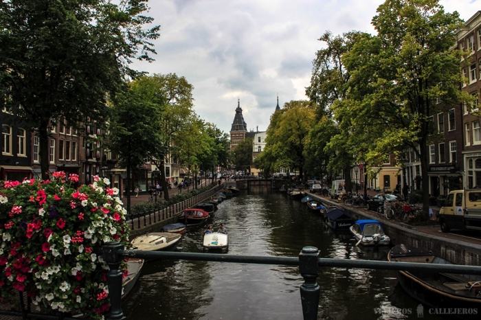 Flores en los canales
