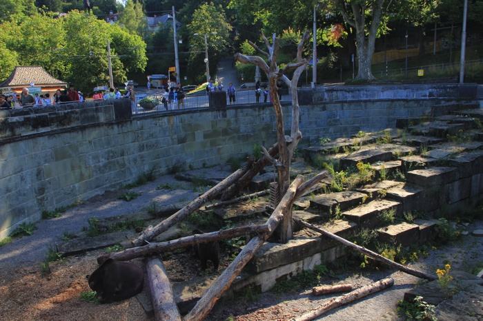 Foso de los osos en Berna