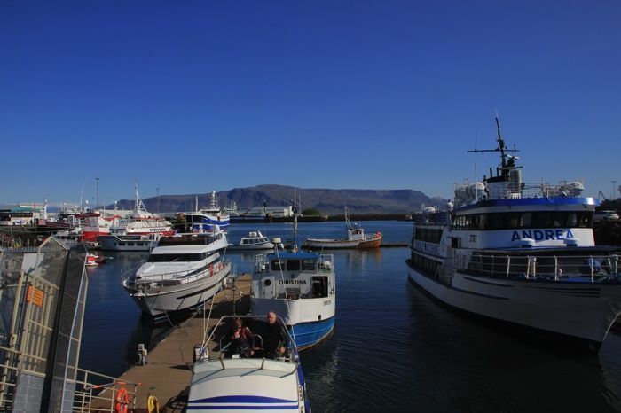 Puerto de Reikiavik