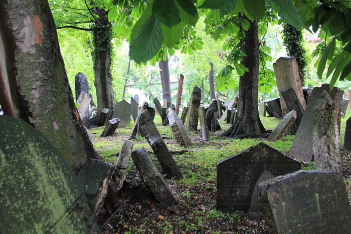 Antiguo Cementerio Judío de Praga