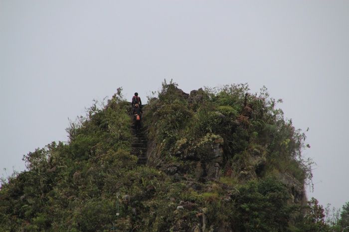 Vistas de la gente que pese a las recomendaciones asciende a Huayna Picchu
