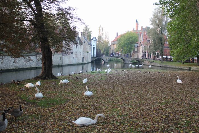 Minnewater, otra de las mejores zonas donde alojarse en Brujas