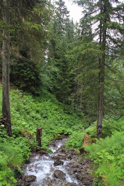 Paisajes bajando de Murren a Lauterbrunnen