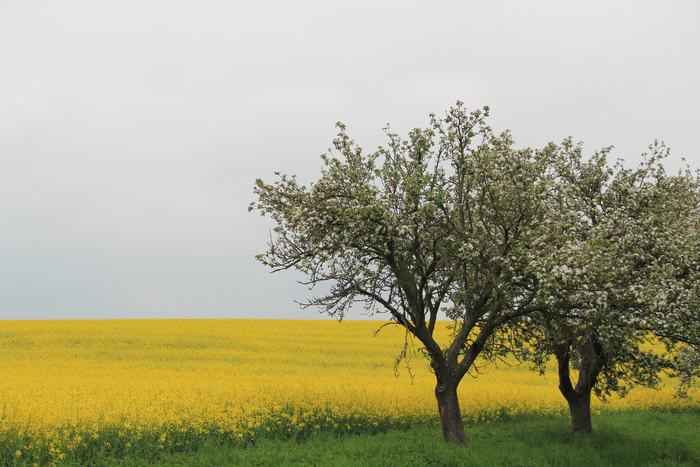 Paisajes de la República Checa