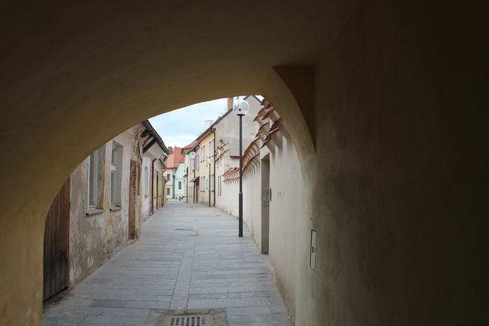 Trebon