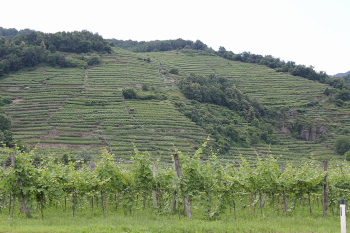 Valle del Danubio