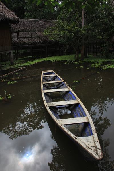 Canoas que utilizaremos en esta excursión matutina