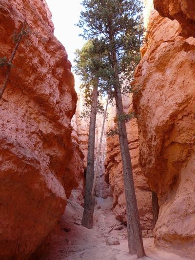 Bryce Canyon