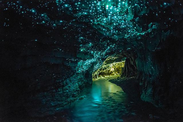 Cuevas Glowworm en Waitomo. Photo credit: Opticoverload / iWoman / CC BY-NC-SA