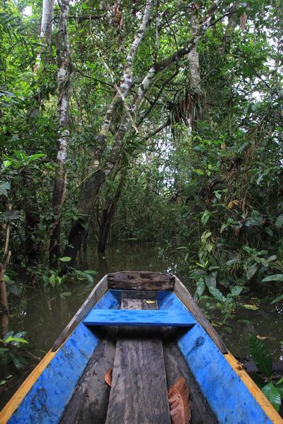 Empezamos nuestro recorrido en canoa por el Amazonas peruano