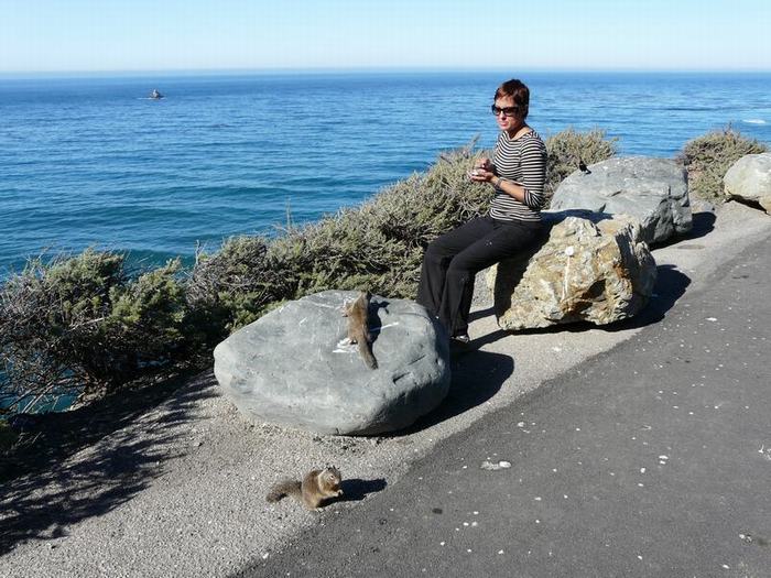 Recorrer el Big Sur de San Francisco a Los Ángeles