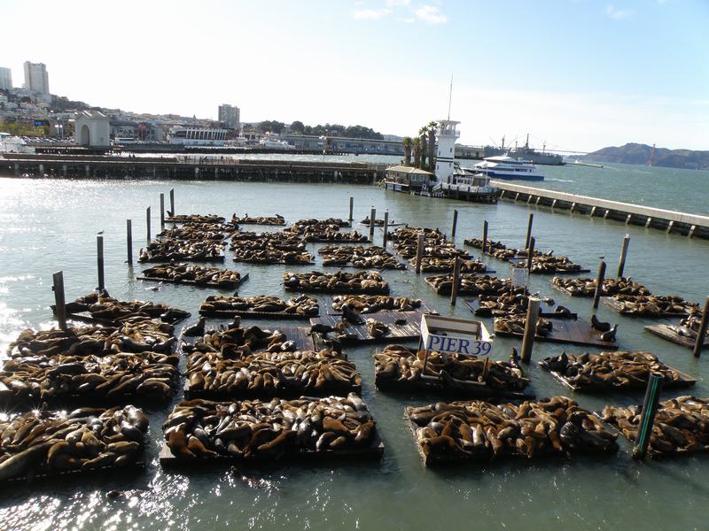 Pier 39 en Fisherman's Wharf