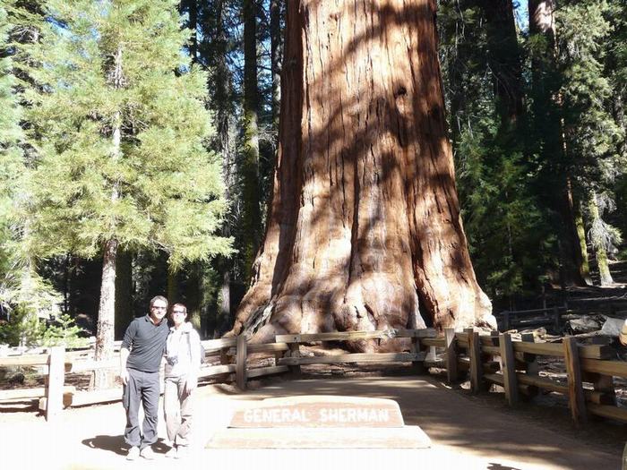 General Sherman en Sequoia